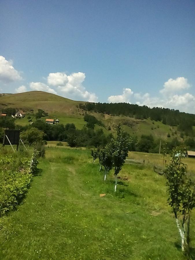 Holiday Home Vila Milka Kremna Exteriér fotografie